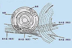 駿河湾絶好釣､トローリングテクニック