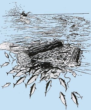 駿河湾絶好釣､トローリングテクニック